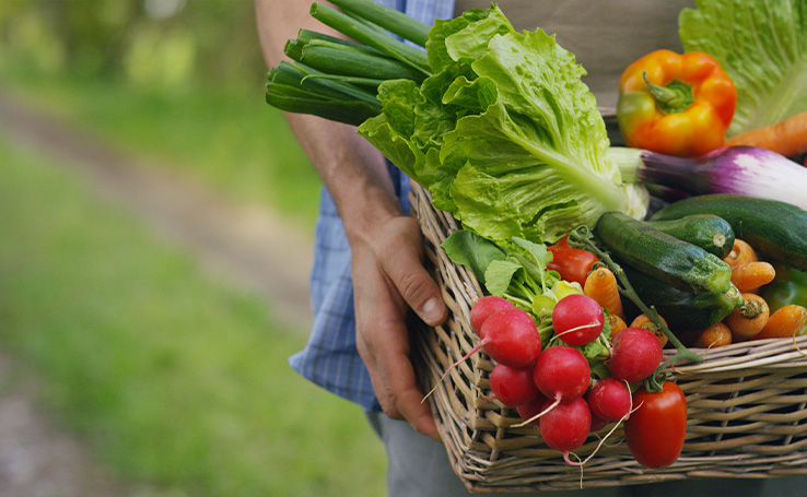 como identificar alimentos orgânicos